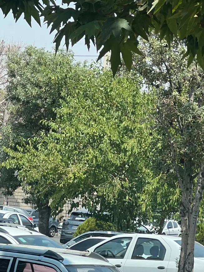 رهن و اجاره واحد دو خوابه مناسب دفترکار