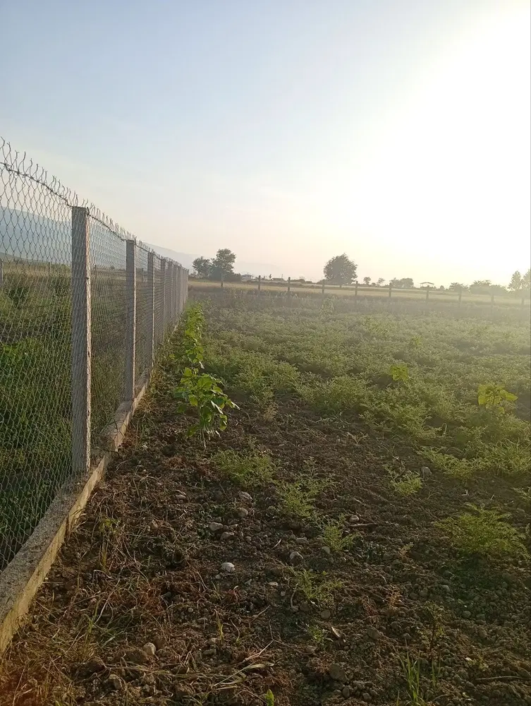 زمین کشاورزی دارای مجوز ساخت در روستای سیدمیران