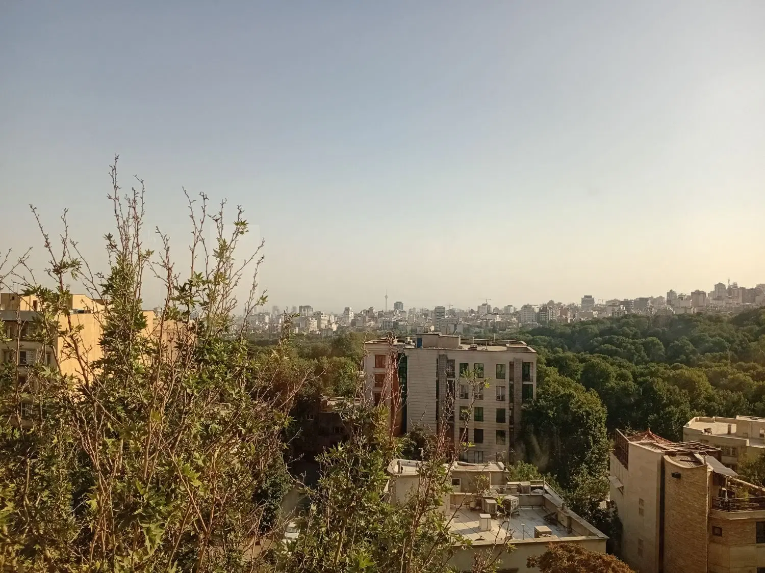 ۷۵ متر ۱ خوابه حیاط مستقل