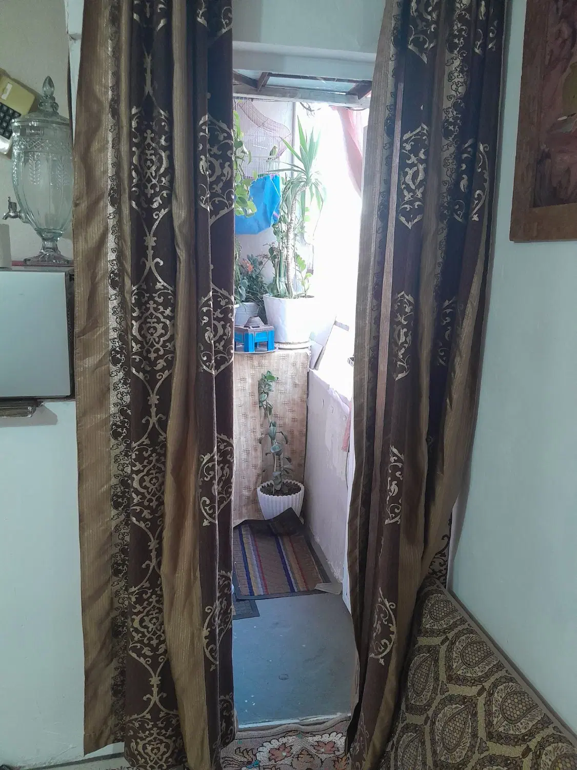 ۵۵متر ایران زمین