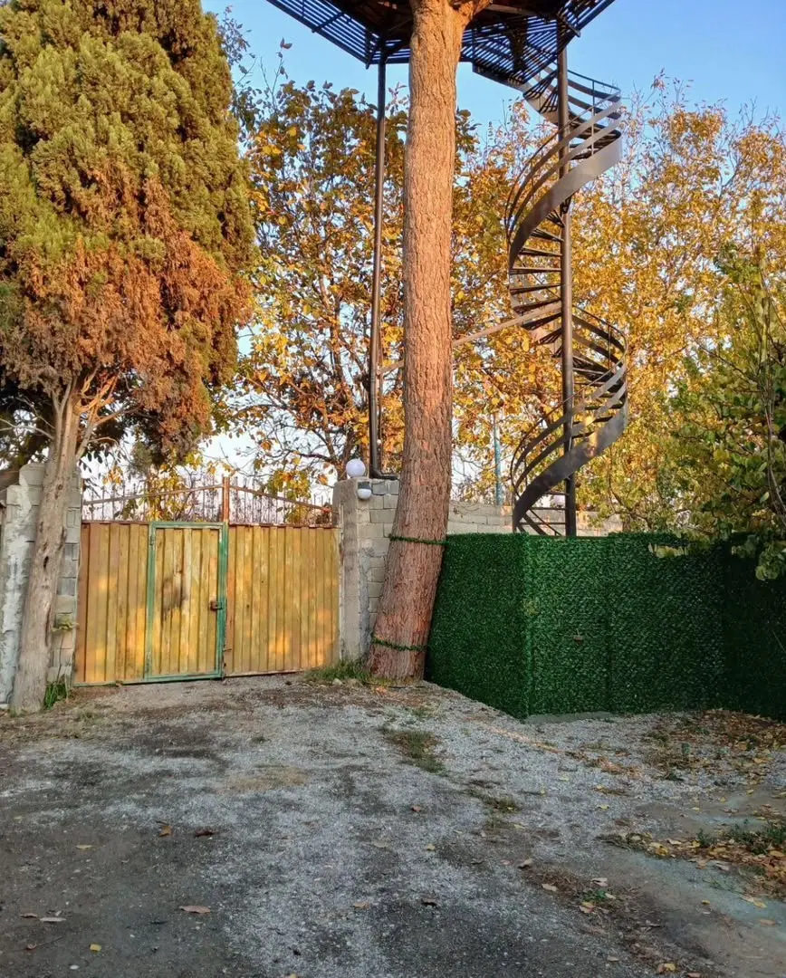 کلبه درختی دو نفره