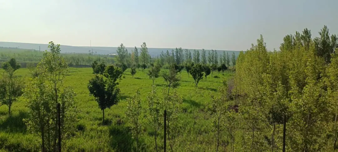باغ یک هکتار در دودران مابین نمین و گردنه حیران
