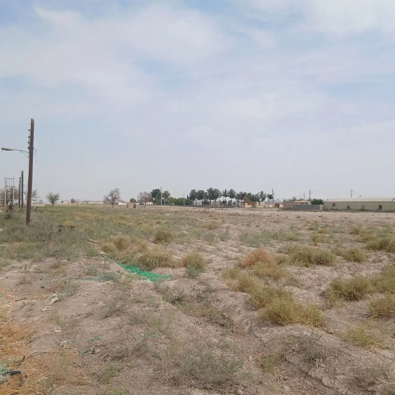 زمین کشاورزی