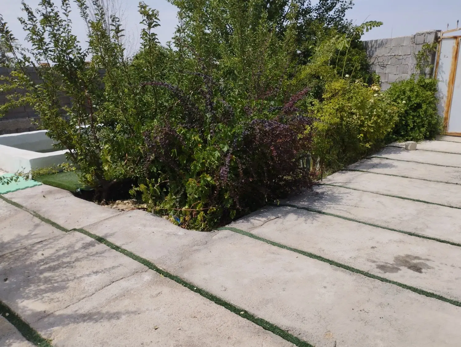 باغشهری واقع در کدیون