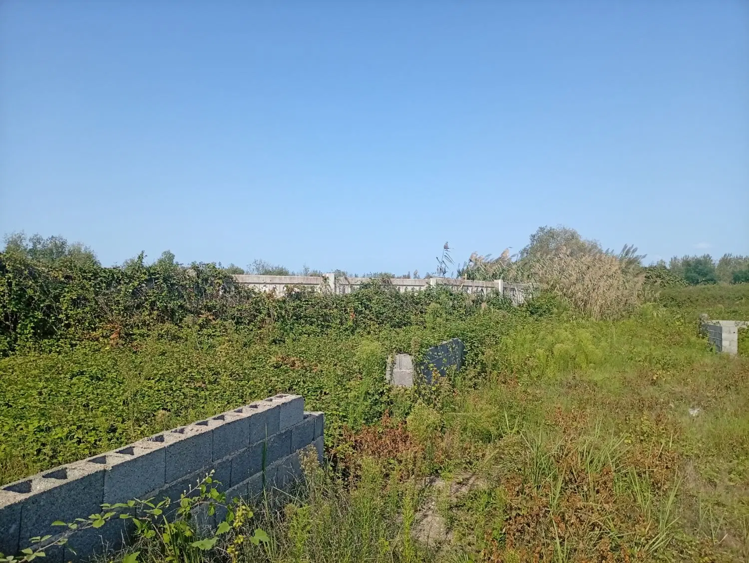 زمین ساحلی سمت دریا ۴۵۰ متری سند تک برگ