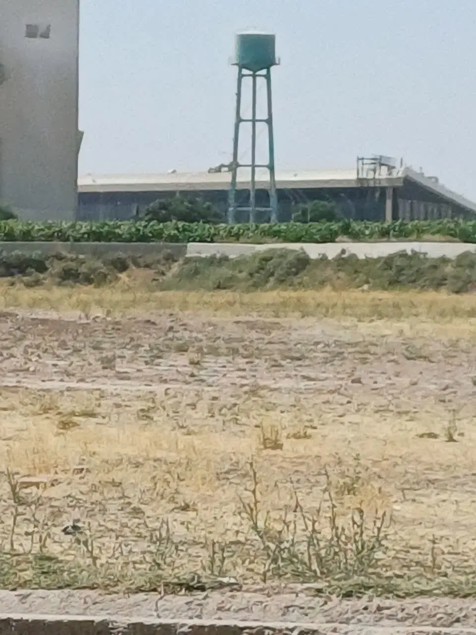 زمین مزروعی چالتاسیون