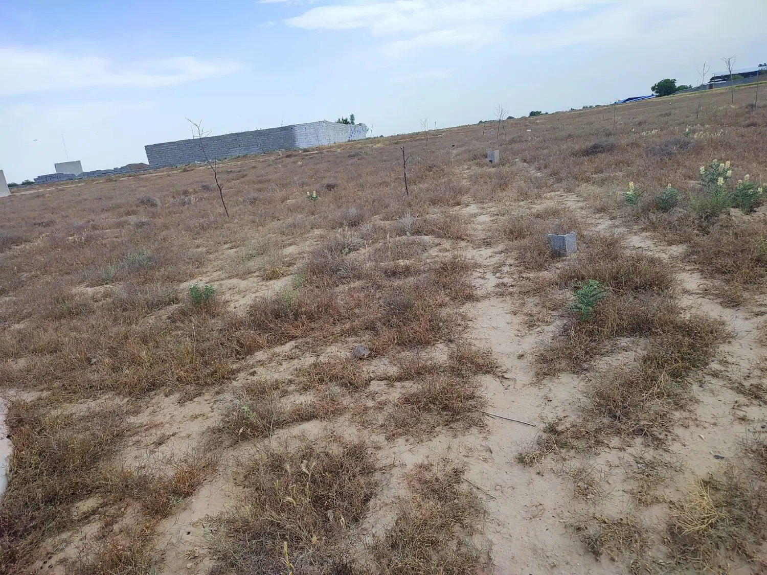 زمین شاهنامه 36