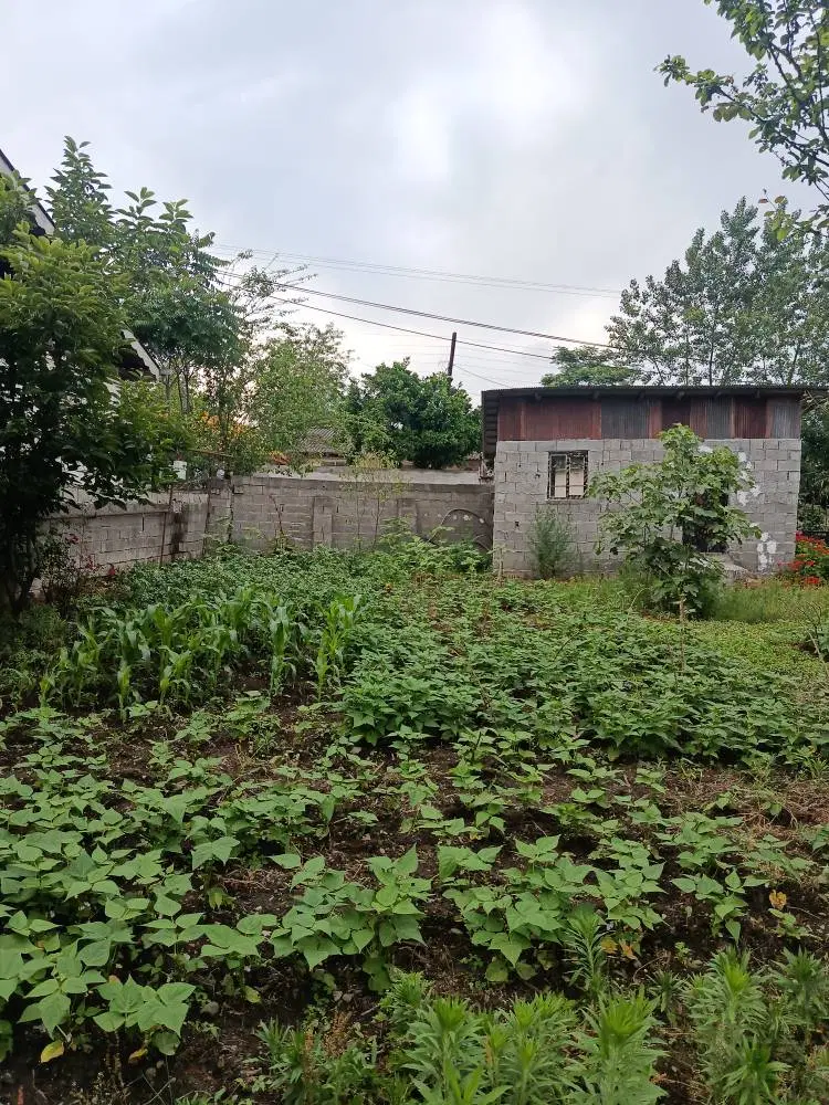زمین تجاری مسکونی