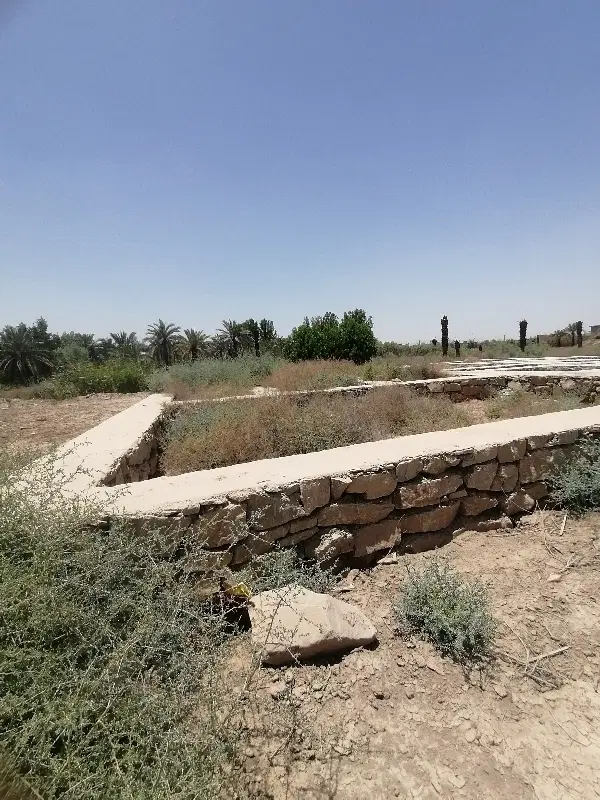 زمین جزیره مینو