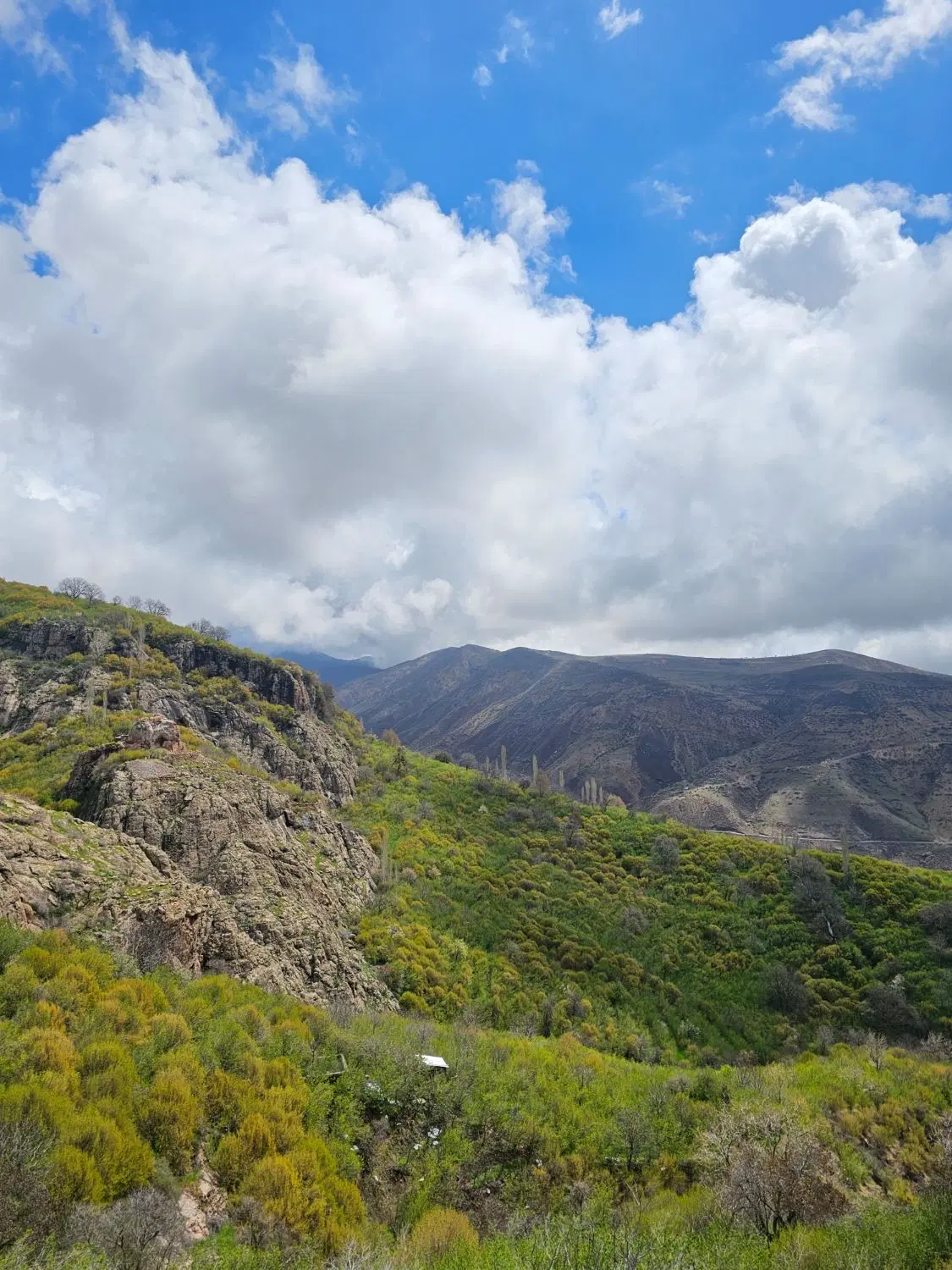 باغ بزرگ با چشم انداز بی نظیر