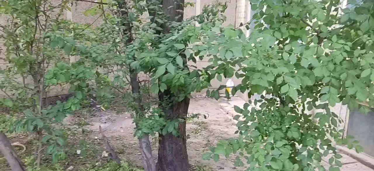 اجاره خانه ویلایی دربست