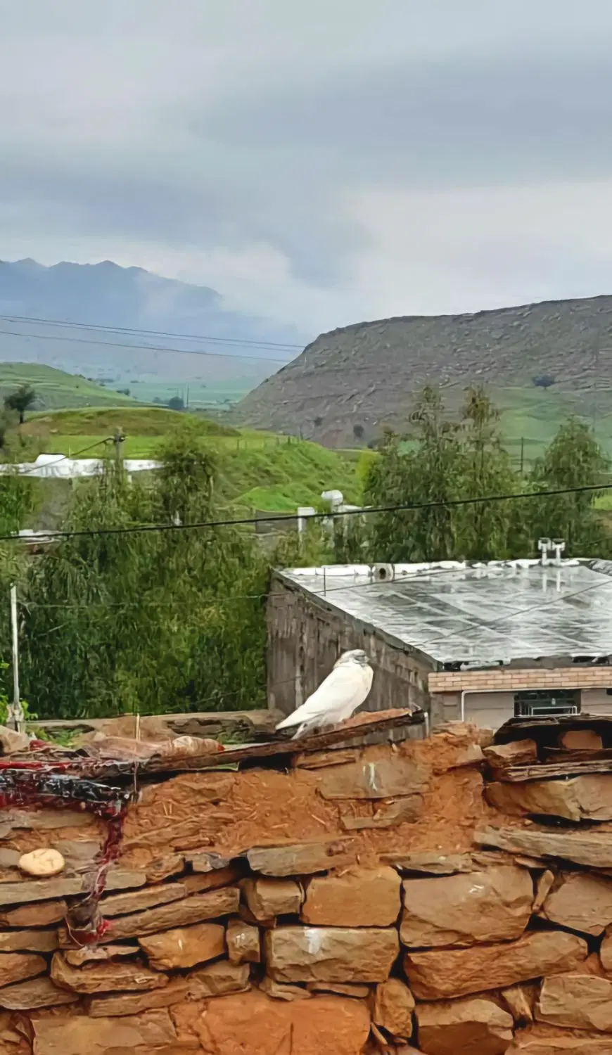واحد ۷۱ متری بهترین جای پردیس