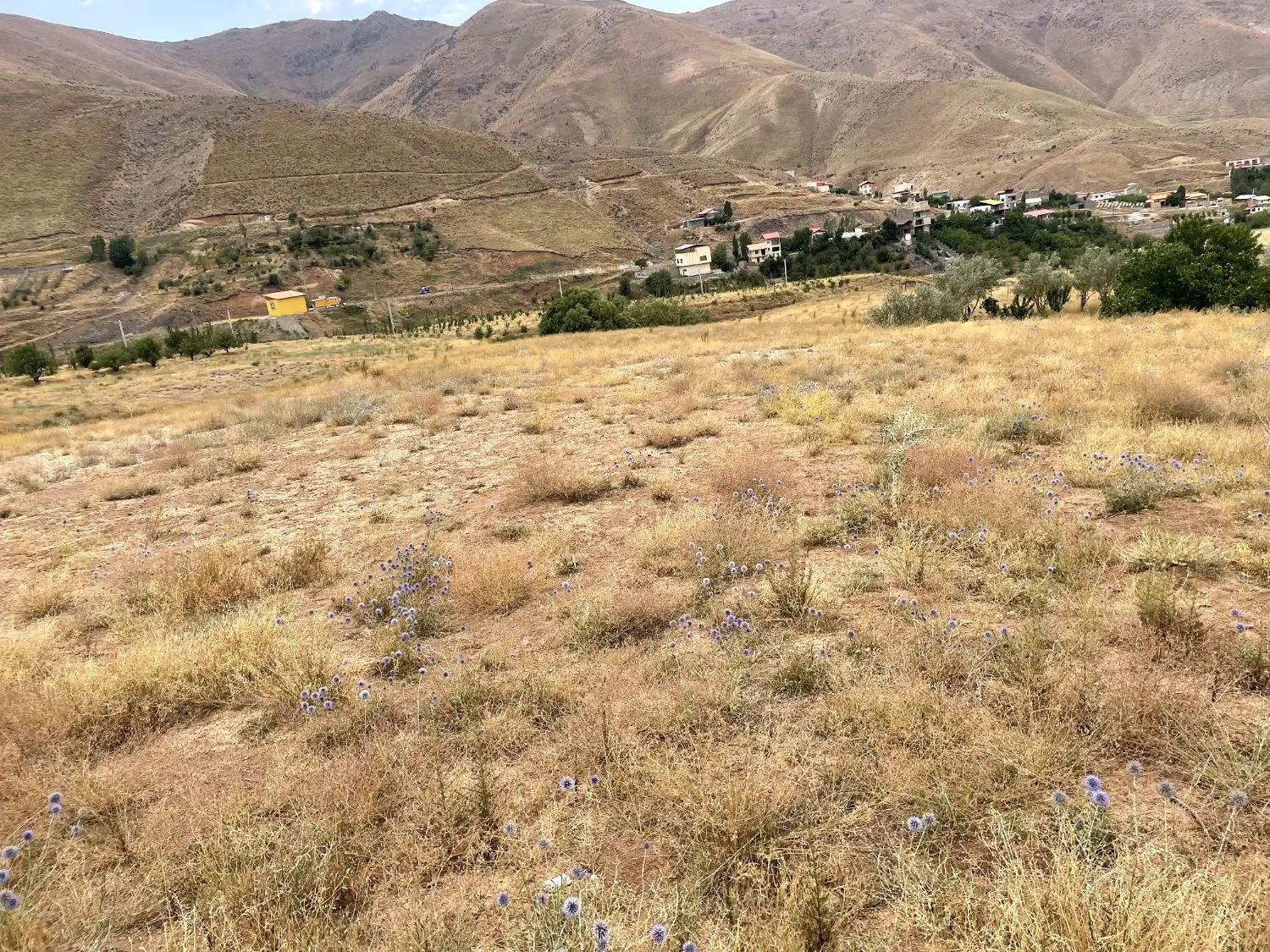 زمین مناسب باغ و ویلا ابراهیم اباد طالقان