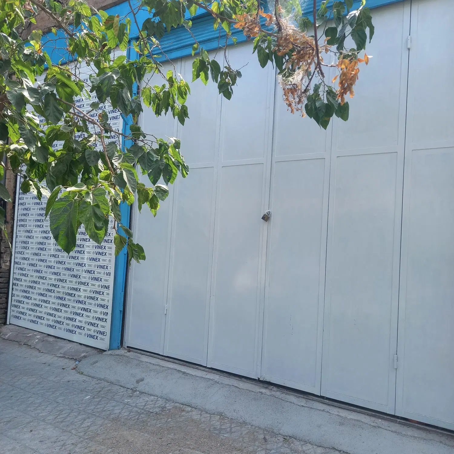 اجاره مغازه در حافظ جنوبی