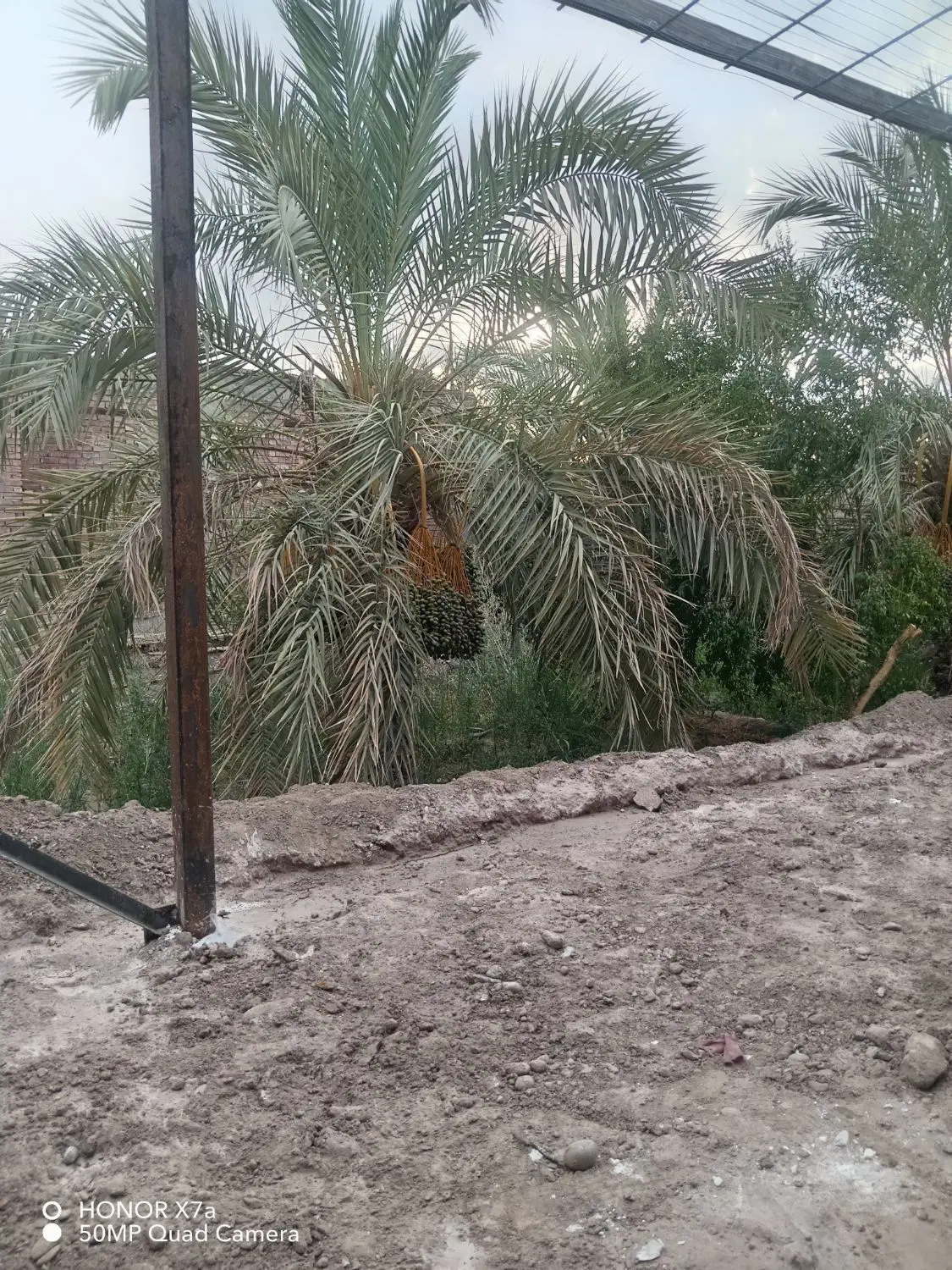 سوئیت نقلی طبقه بالا