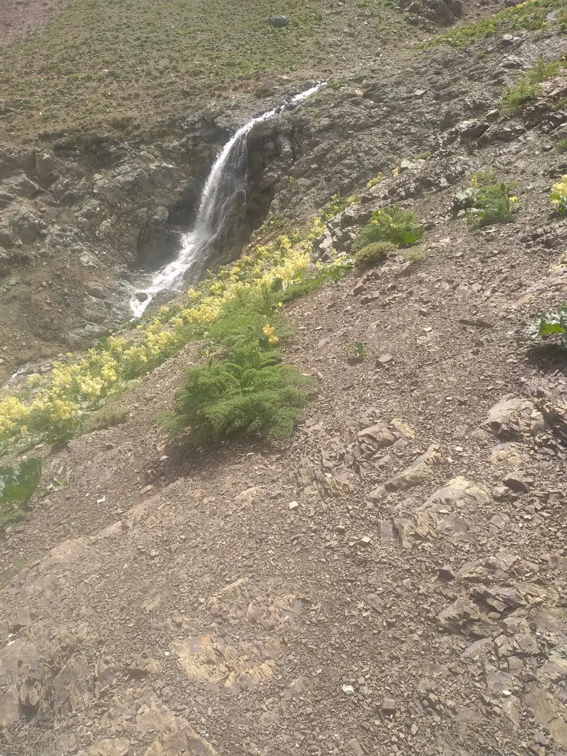 زمین در روستا درسبر