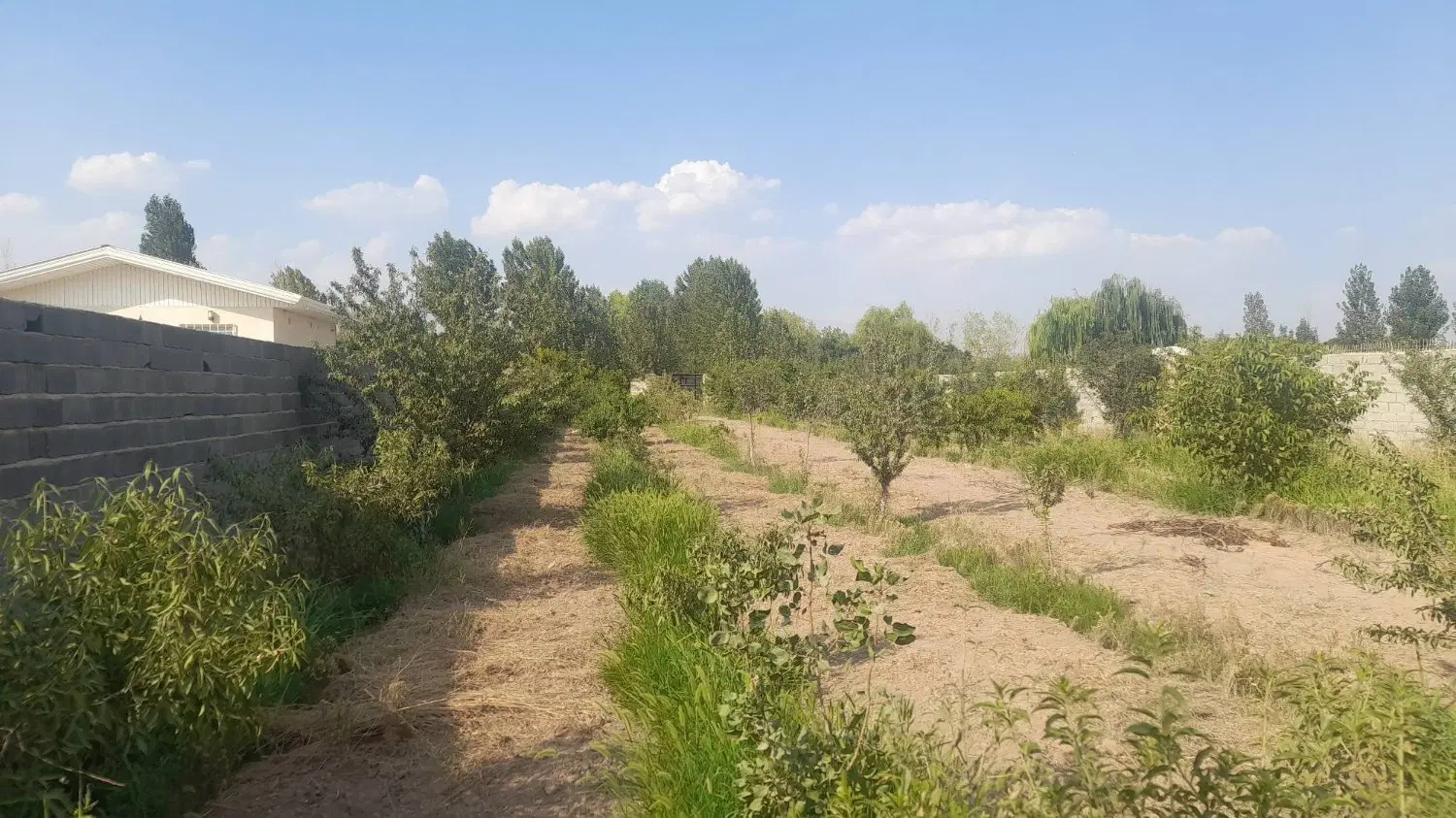 باغچه ۱۸۰۰ متری با سند تک‌برگ در هشتگرد