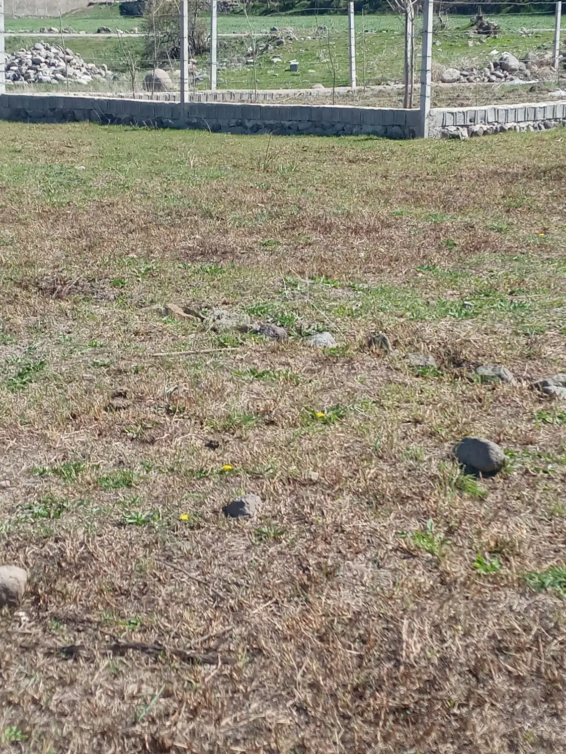 زمین‌مسکونی