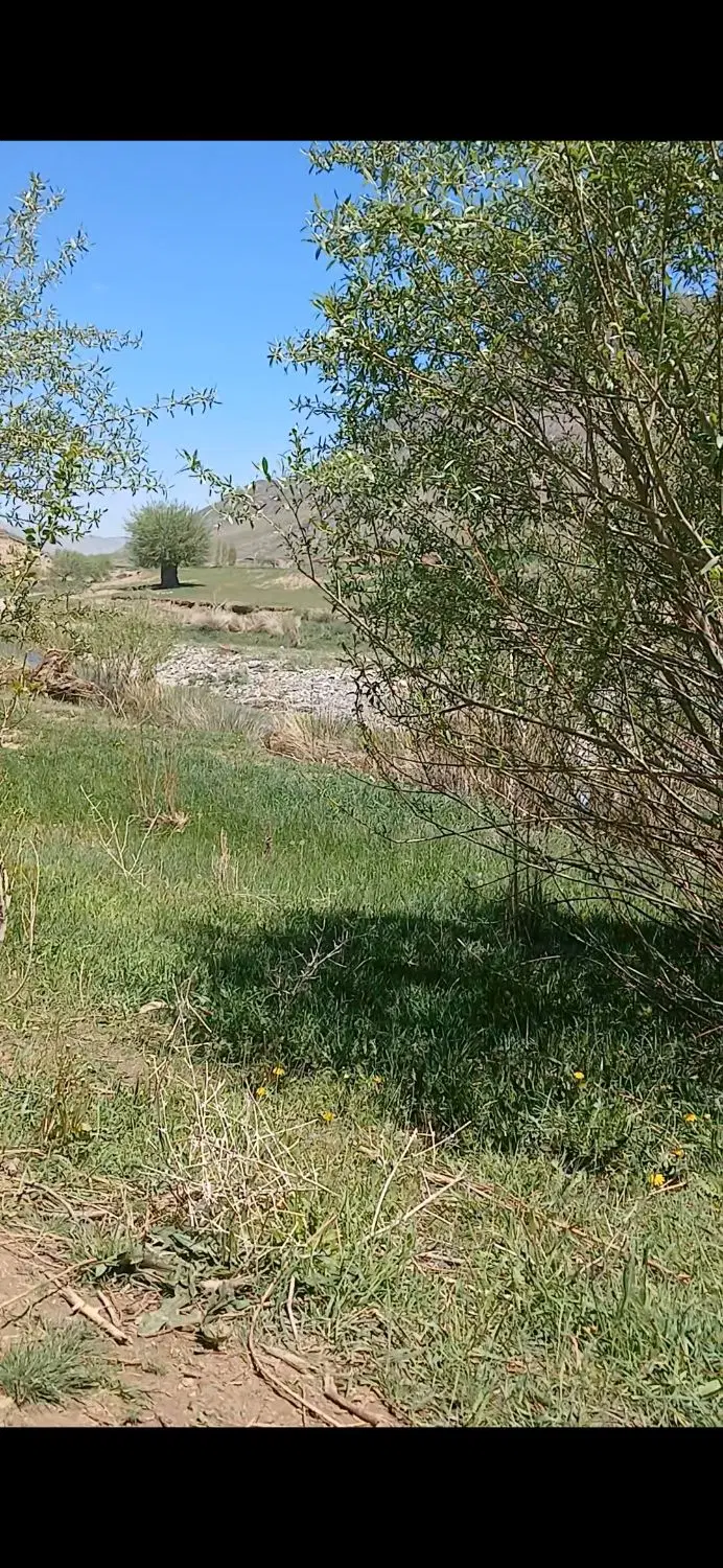 یک قطعه زمین