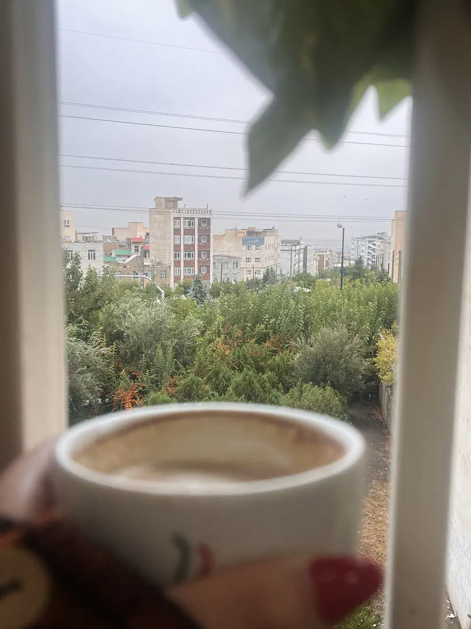 همخونه میشم