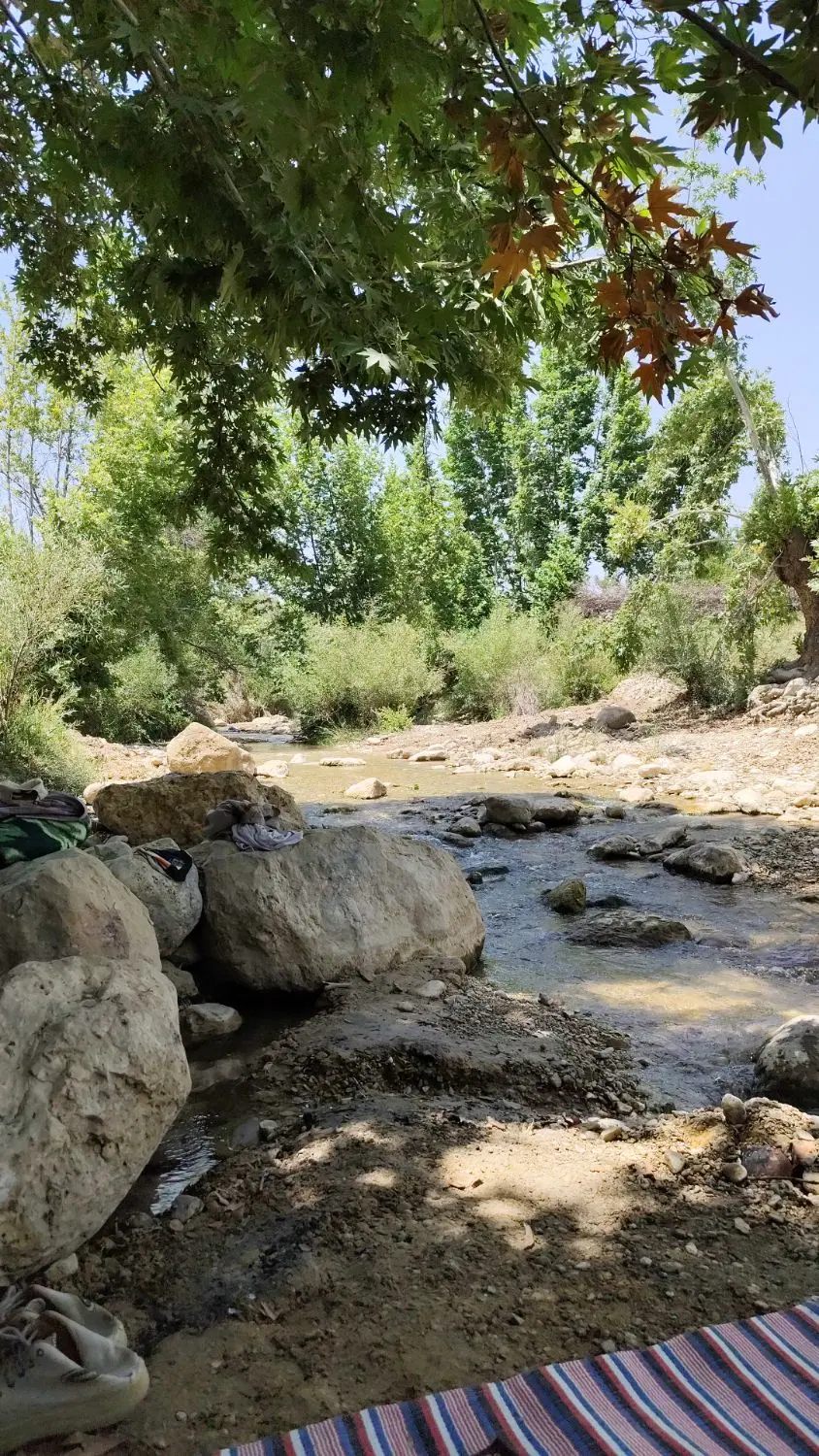 رهن و اجاره مسکونی