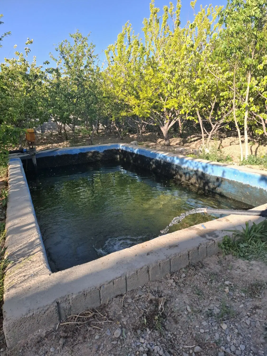 باغ