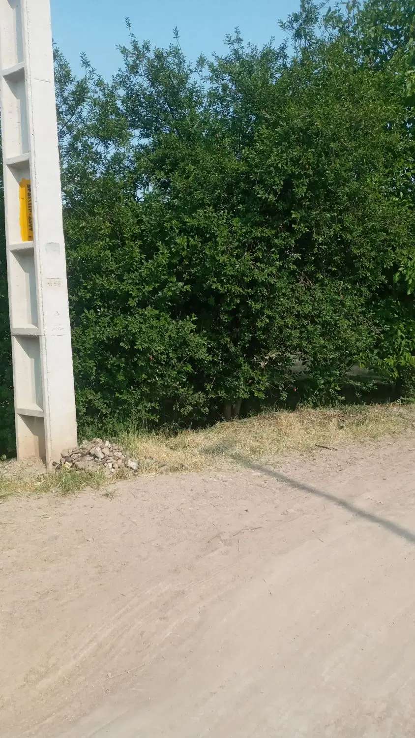 باغ در کمربندی اهر