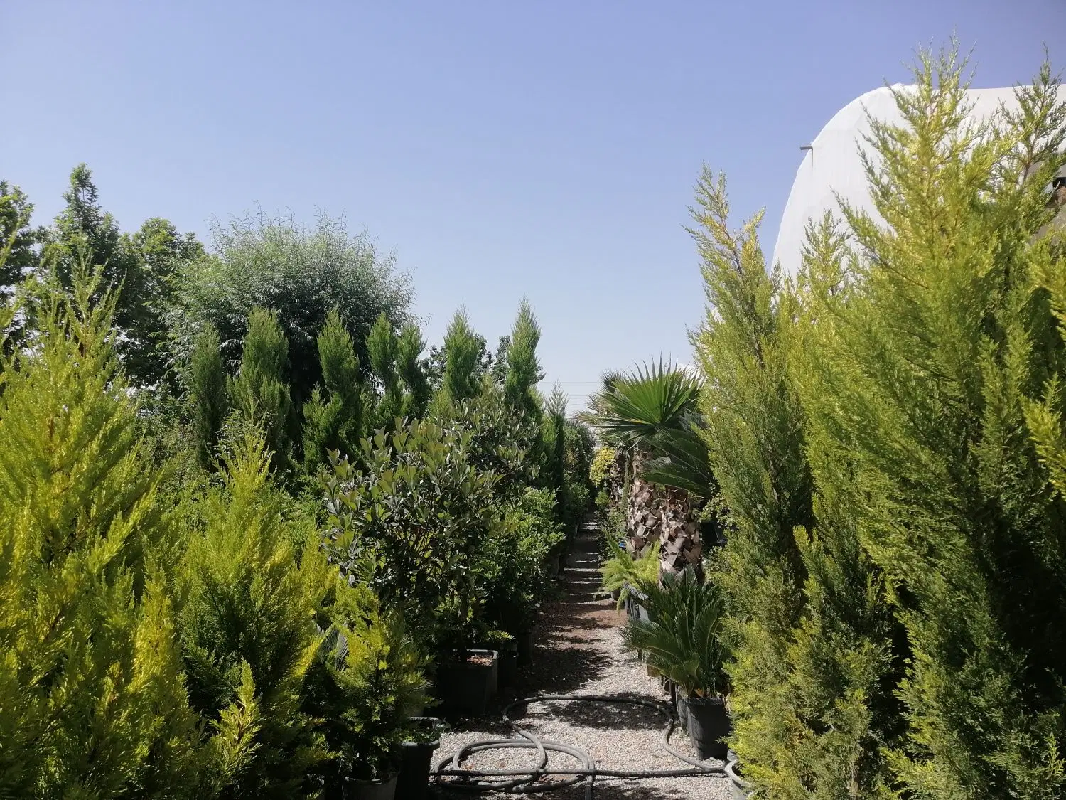 زمین تجاری و مسکونی
