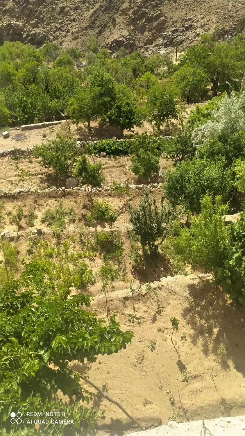 فروش زمین بنادک سادات