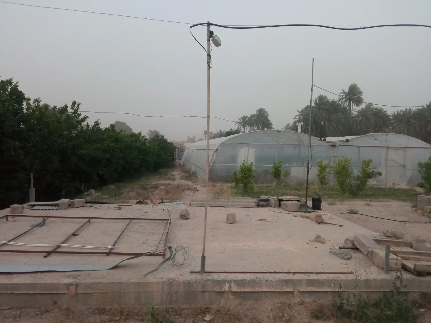 گلخانه صیفی جات