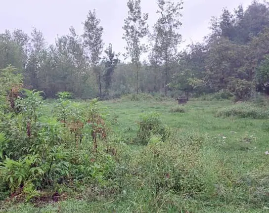 570 متر مسکونی باغی