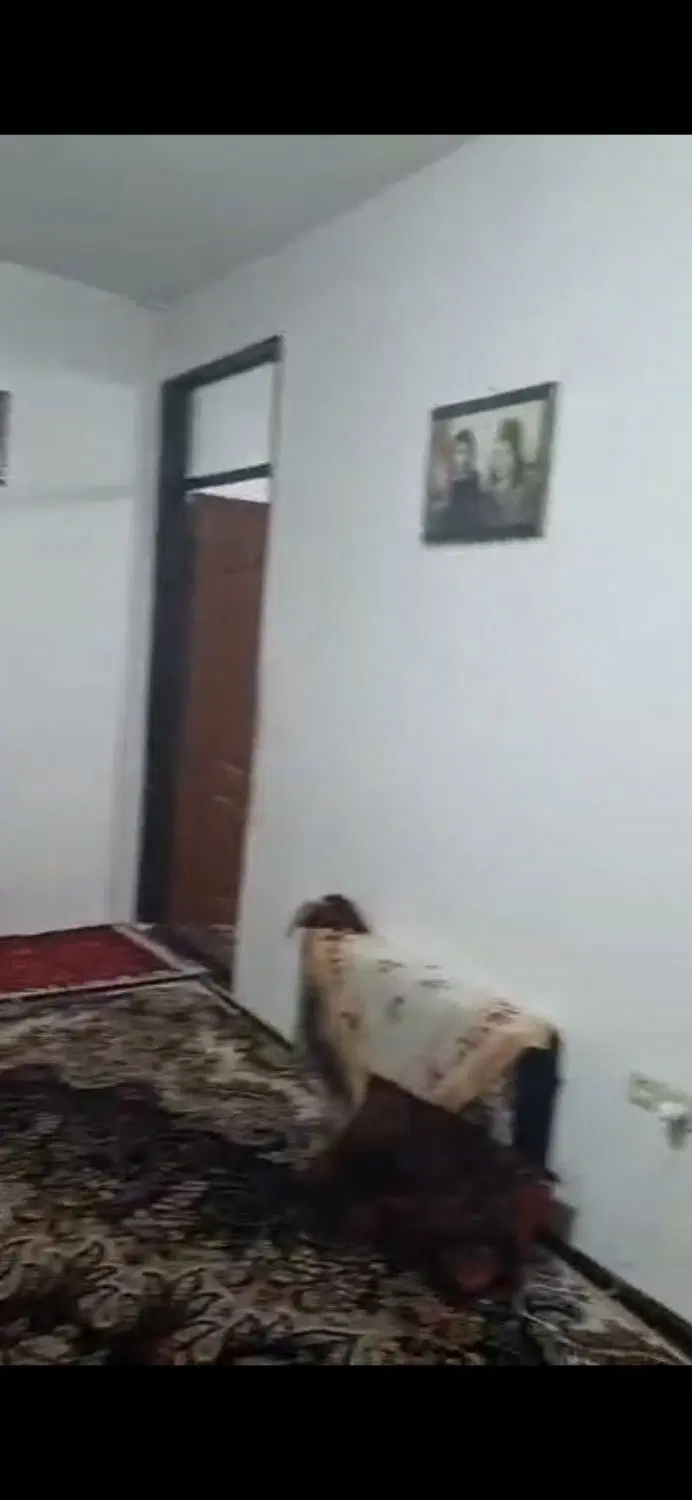 معاوضه ملک با خودرو