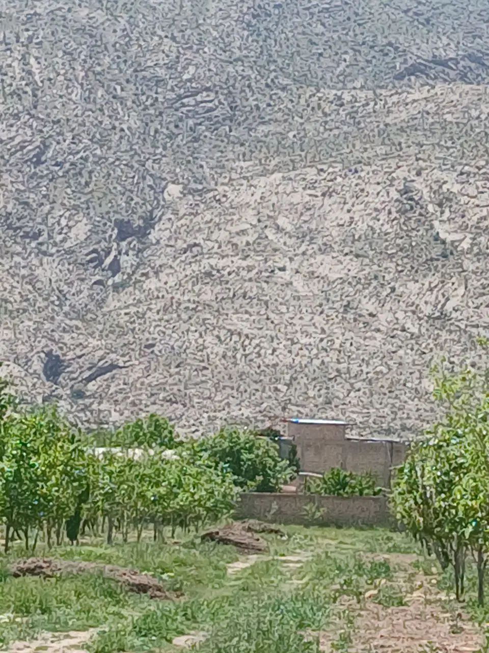 باغ شهری با آب کامل