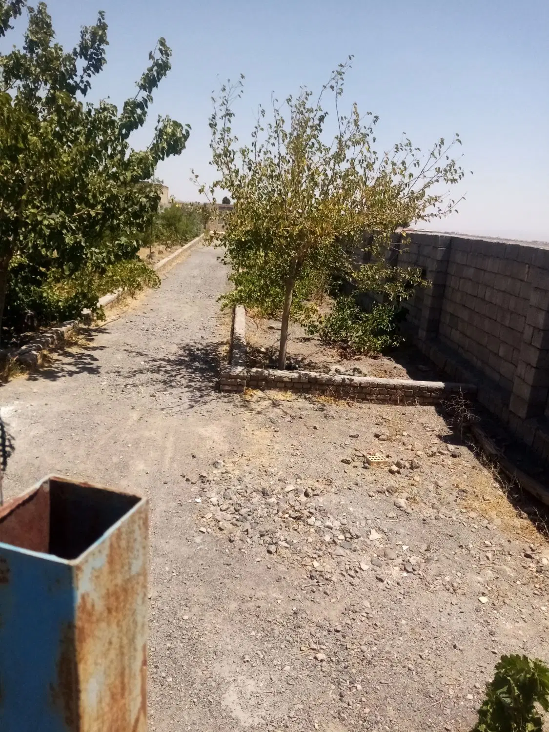 باغ  (سدید)