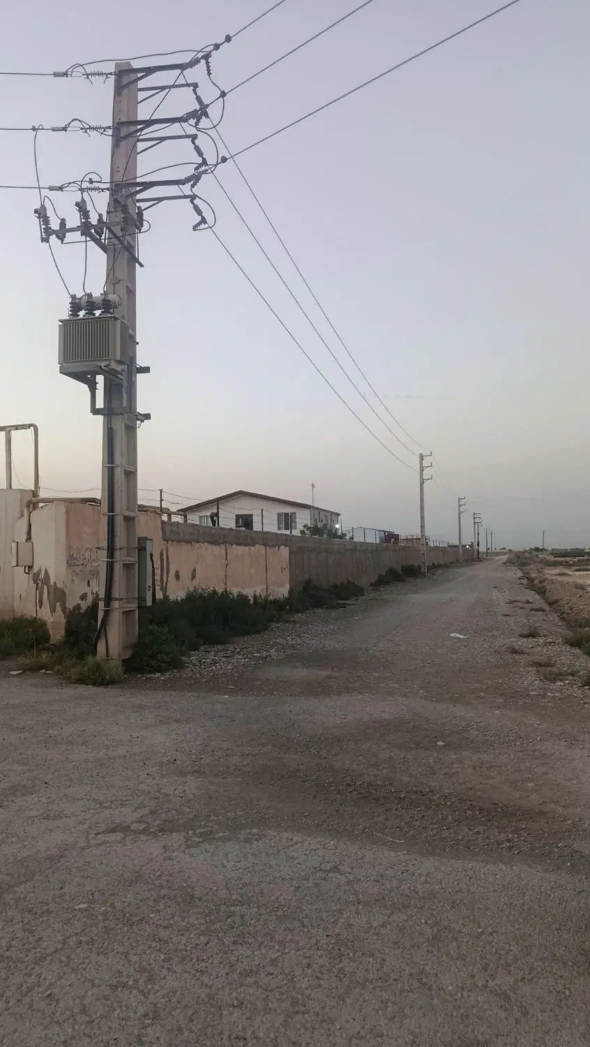 زمین باغی