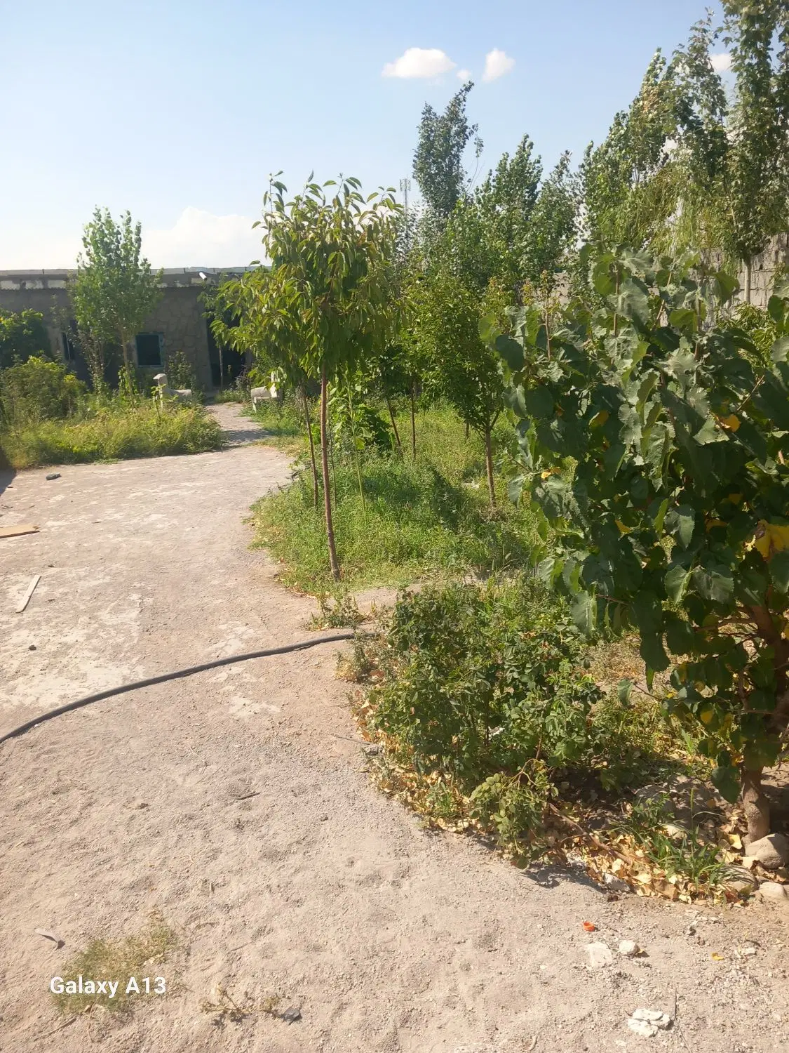 فروش باغ در اخماقیه