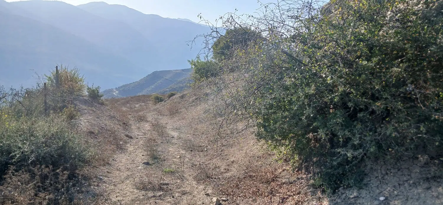 زمین برای باغ