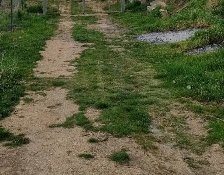 فروش زمین روستای چشمه سرنجه