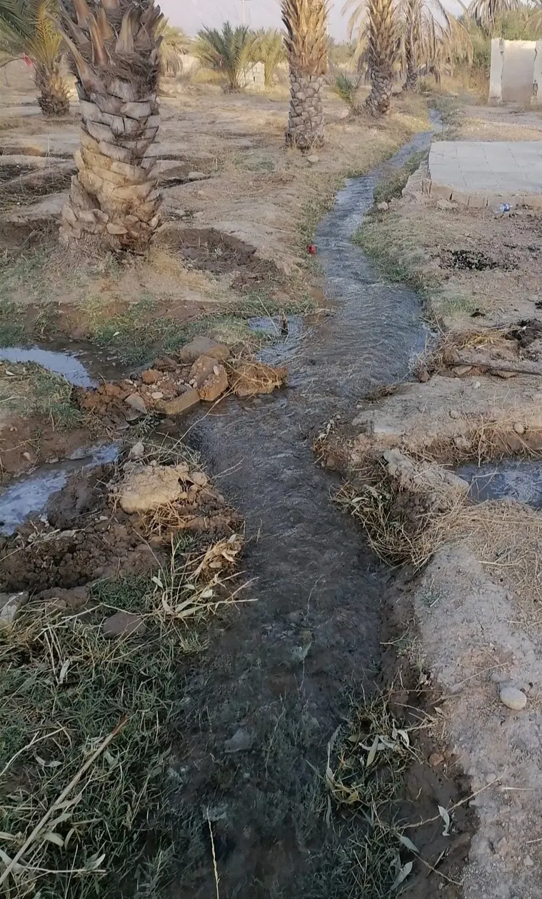 باغچه متری 190 هزار تومان. بر اسفالت