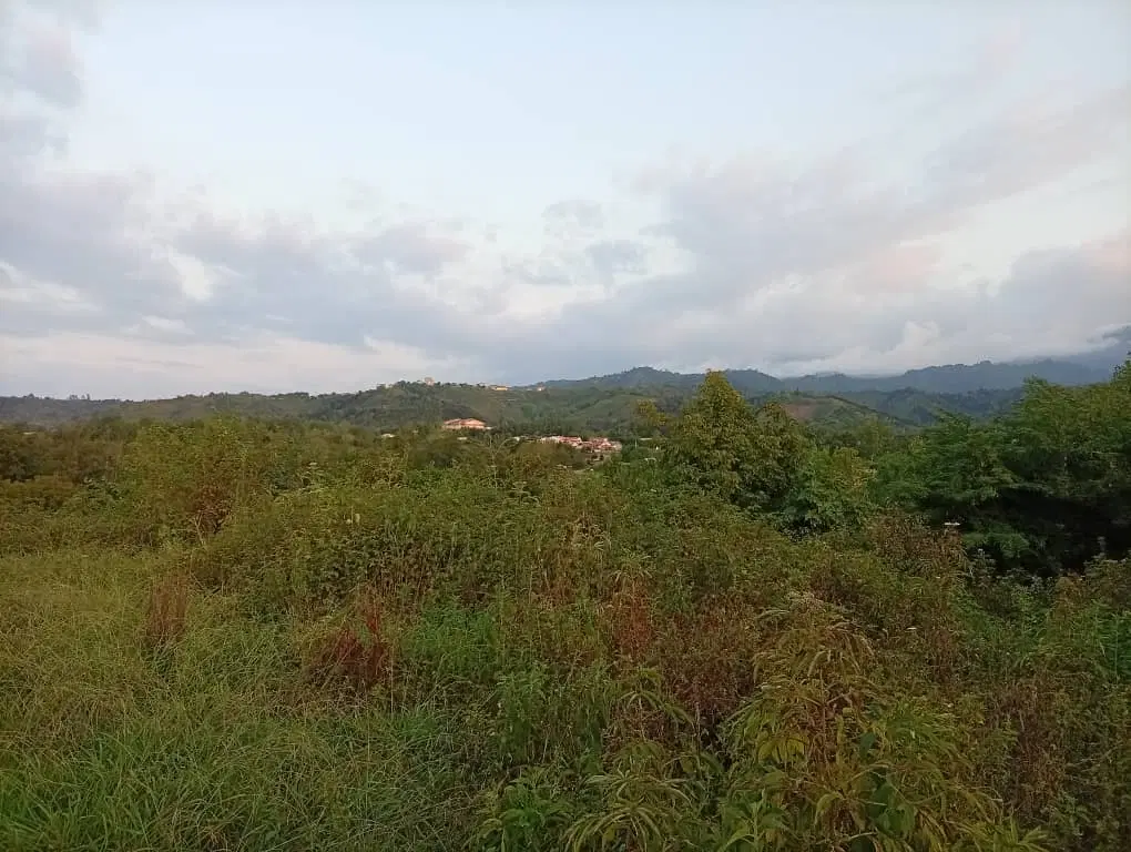 ۳۰۰ متر زمین مسکونی دوبر گیلان (اطاقور)