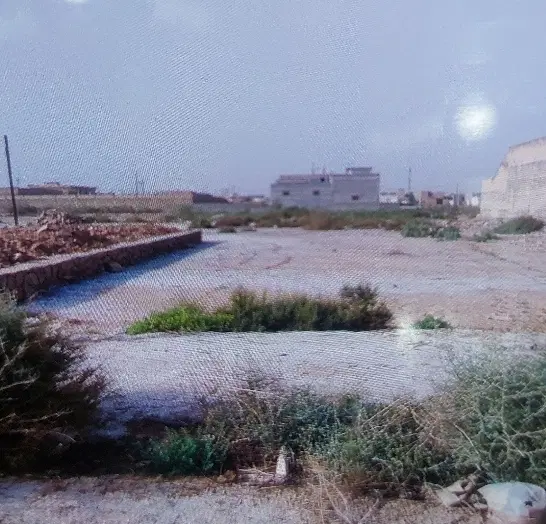 زمین