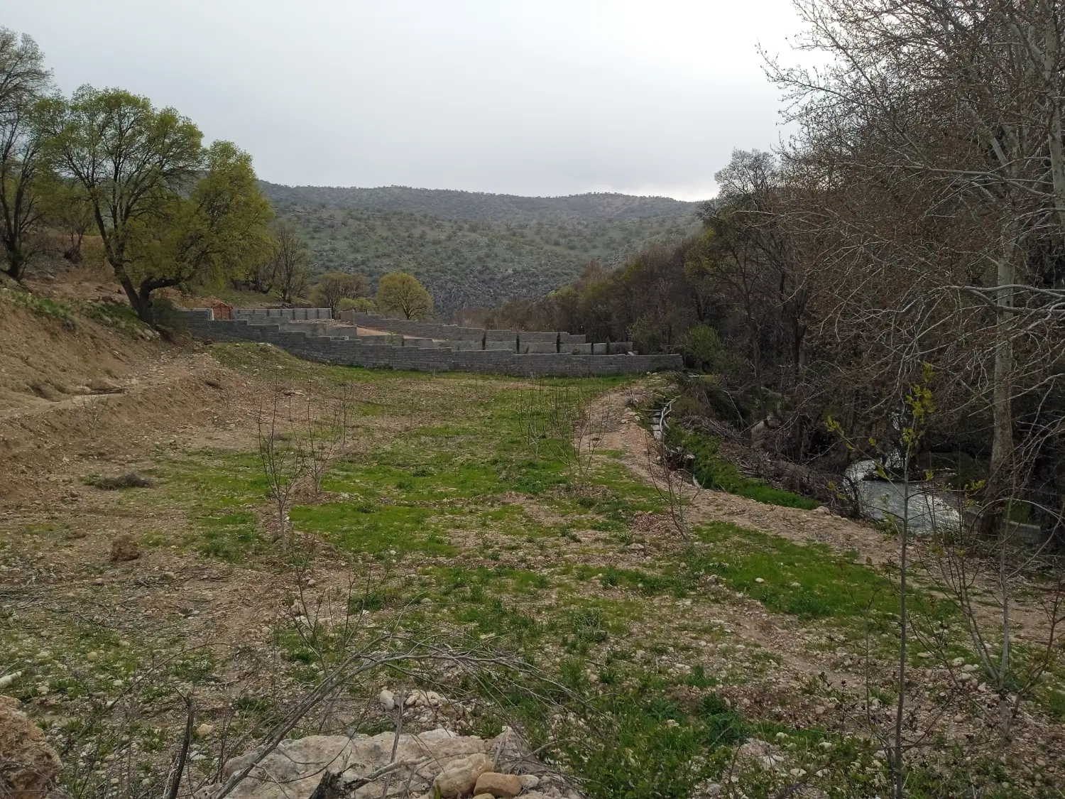 زمین جهت باغ ویلا