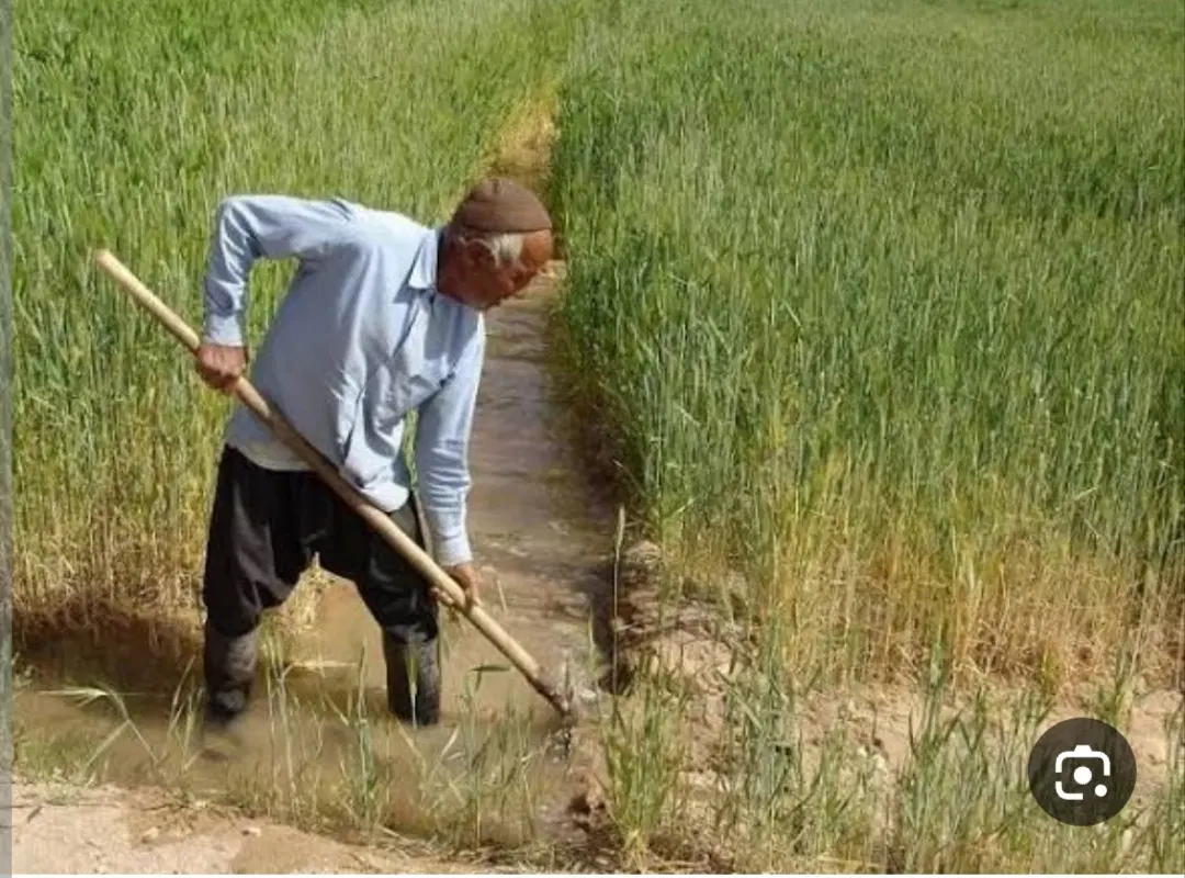 زمین کشاورزی