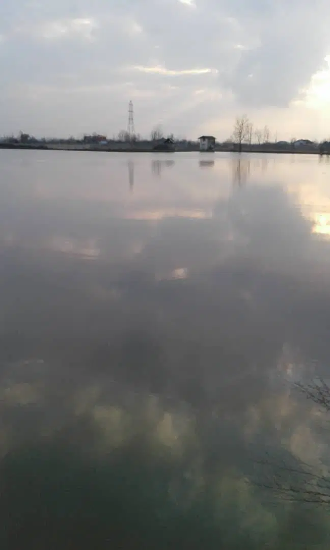 زمین پرورش ماهی