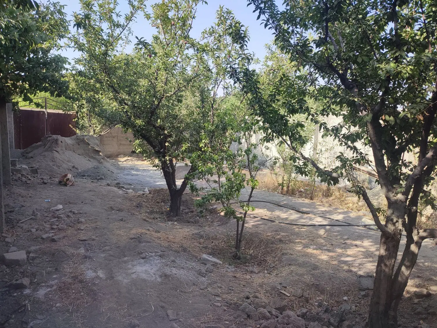 باغچه نقلی دونبش کردان سهیلیه زعفرانیه