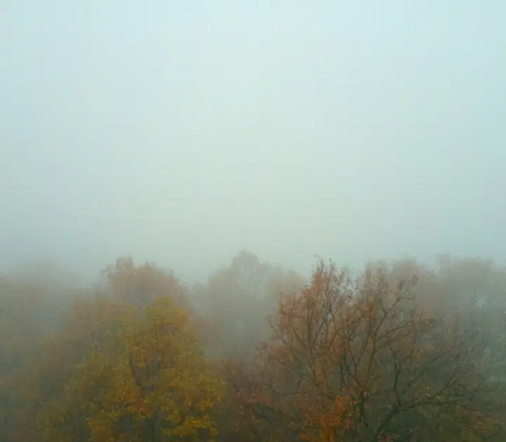 زمین مسکونی