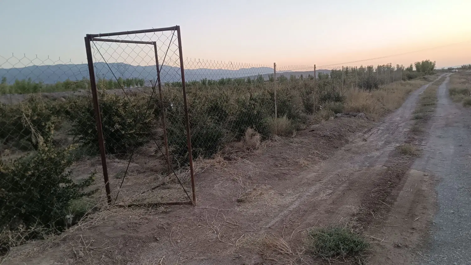 باغ زرشک