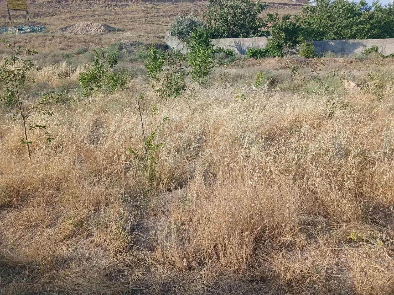 زمین ۵۸۰‌متری