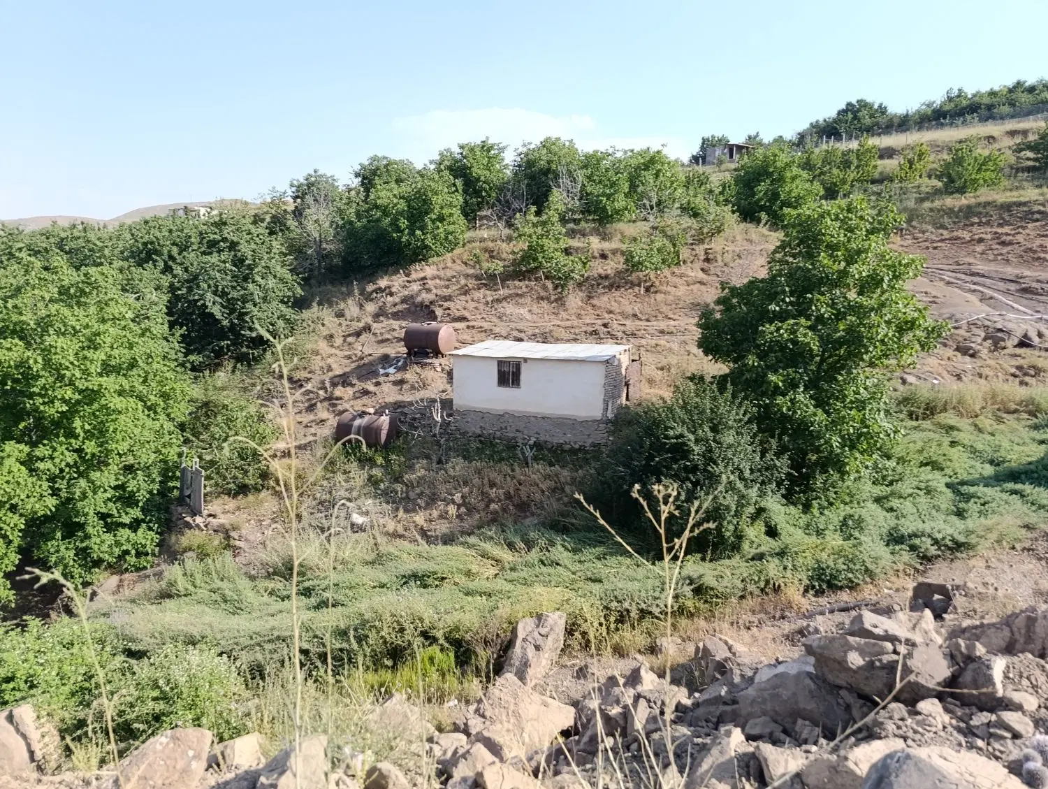 ملک و باغ در  بهترین جای زرنو