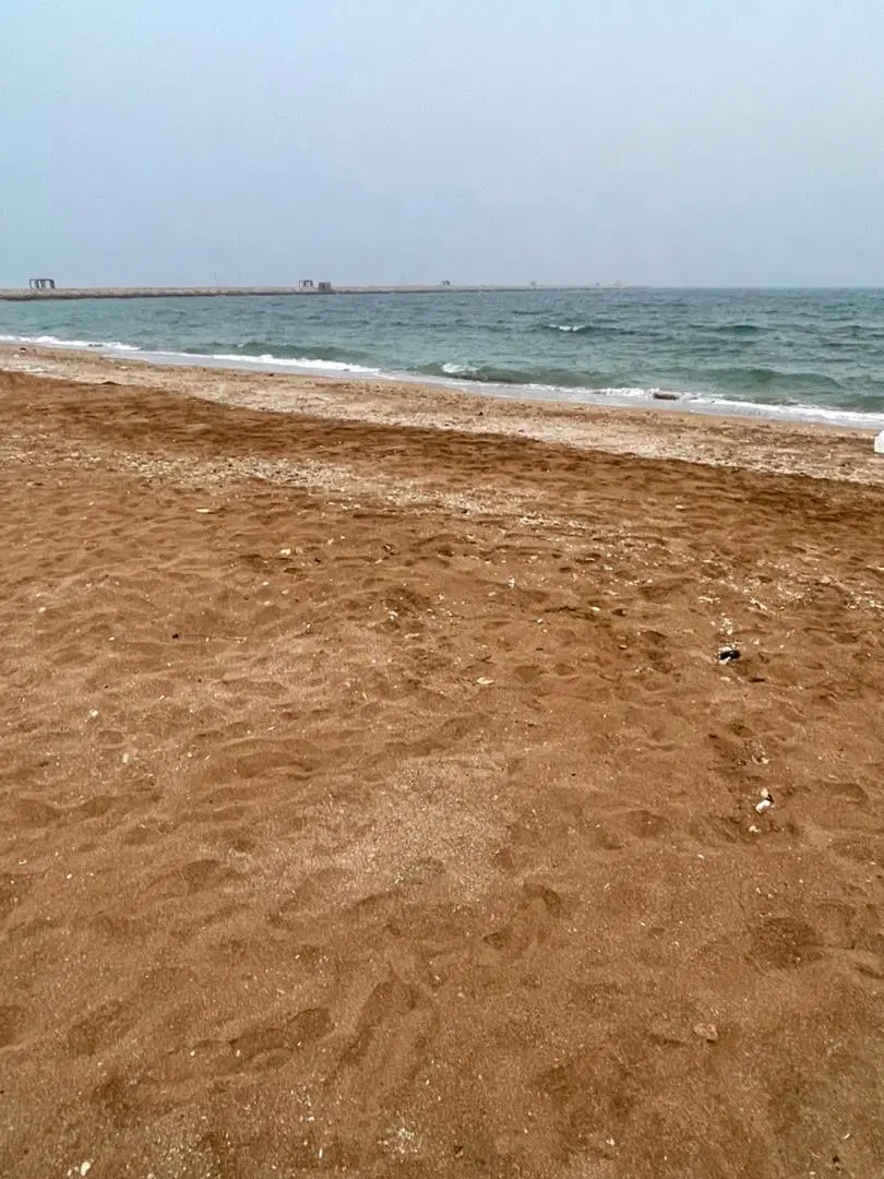زمین سلخ
